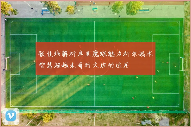 张佳玮解析库里魔球魅力科尔战术智慧超越米奇对文班的运用
