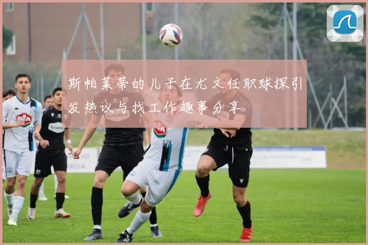 斯帕莱蒂的儿子在尤文任职球探引发热议与找工作趣事分享