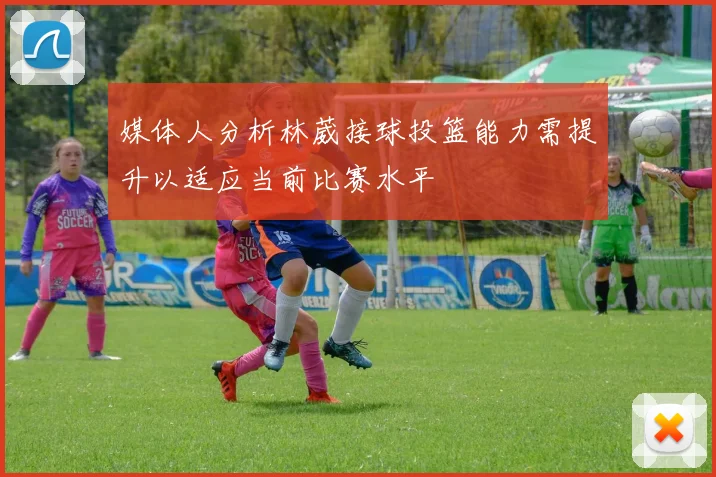 媒体人分析林葳接球投篮能力需提升以适应当前比赛水平